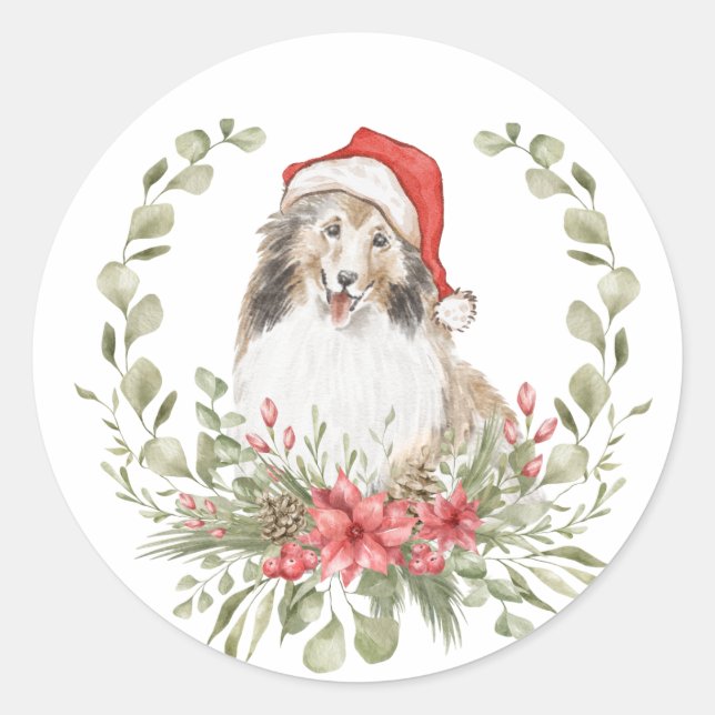 Shelties in a Santa Hat Classic Round Sticker (Front)