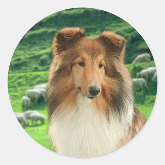 Shelties Lead #2 Stickers (Front)