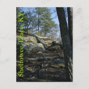 Sheltowee Trace, KY Postcard
