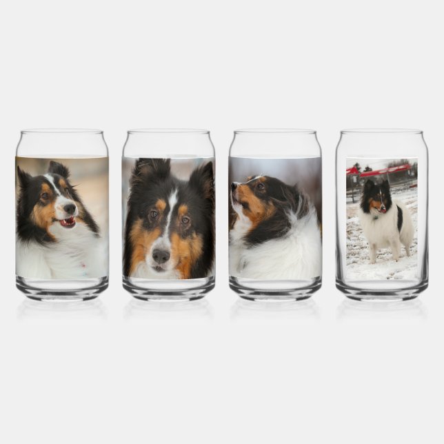 Shelty Can Glass (Front)