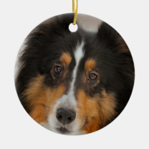 Shelty Ceramic Tree Decoration