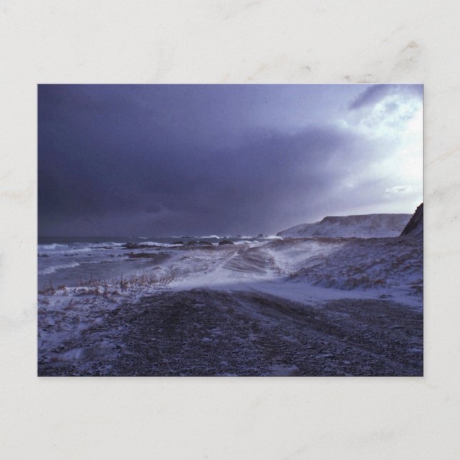 Shemya Island North Beach Postcard (Front)