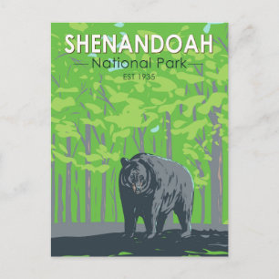 Shenandoah National Park Black Bear Vintage Postcard