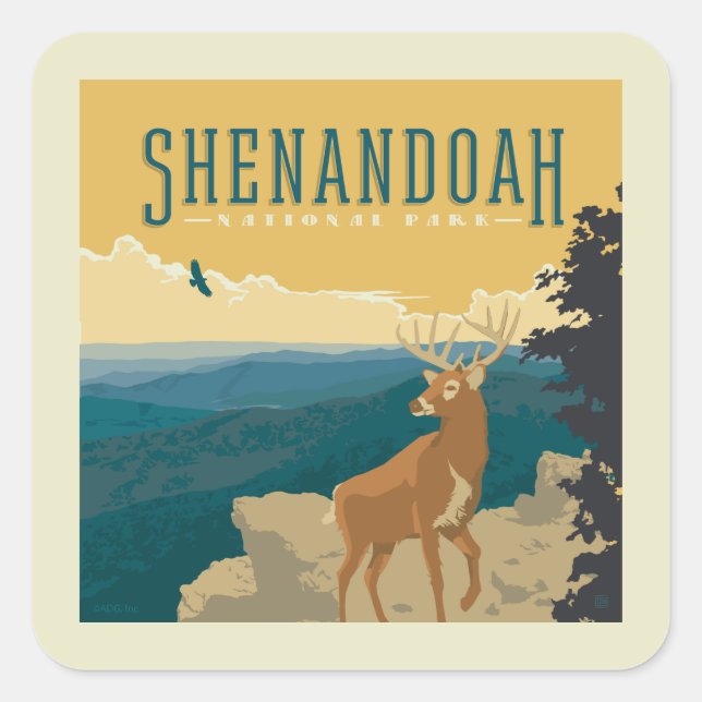 Shenandoah National Park | Deer Square Sticker (Front)