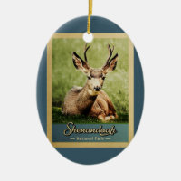 Shenandoah National Park Deer Vintage