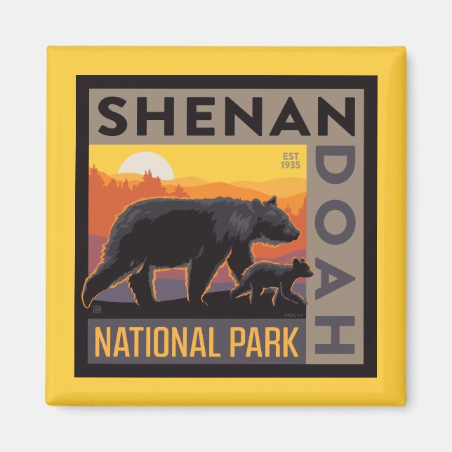 Shenandoah National Park | Mama Bear & Cubs Magnet (Front)