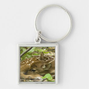 Shenandoah NP, Virginia, USA Key Ring