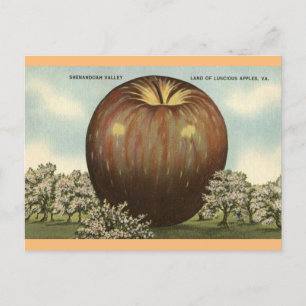 Shenandoah Valley, Virginia Giant Apple Postcard