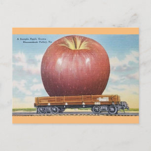 Shenandoah Valley, Virginia Giant Apple Postcard