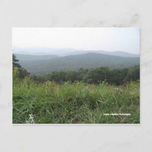 shenandoah valley virginia postcard (Front)