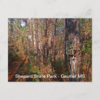 Shepard State Park Trail Sign