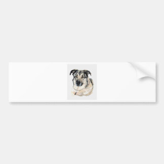 Shepca Supreme Bumper Sticker