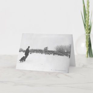 Shepherd and dog at sheep camp card