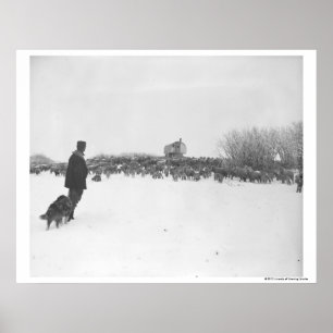Shepherd and dog at sheep camp poster