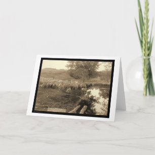 Shepherd and Flock South Dakota 1891 Card