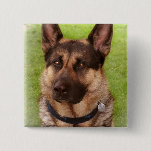 Shepherd Dog Square Pin