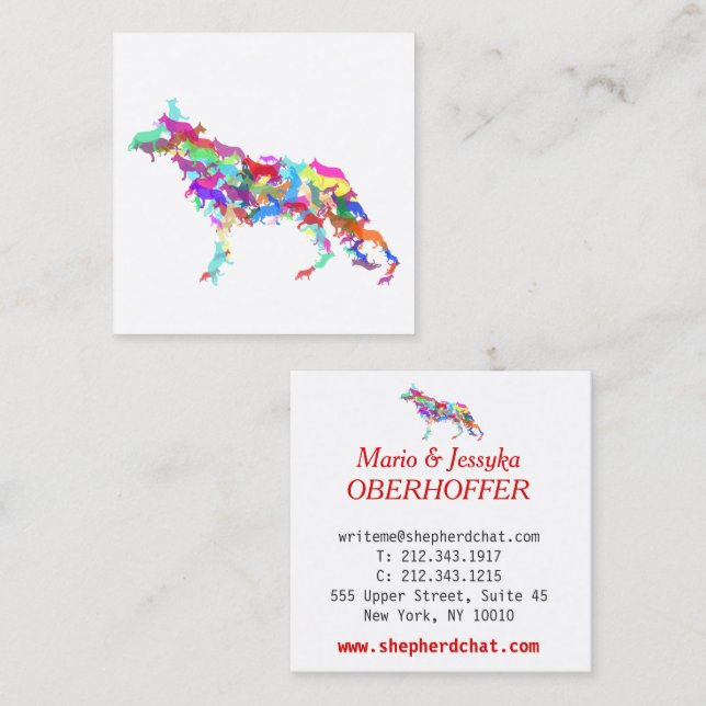 Shepherd Dogs Square Business Card (Front/Back)