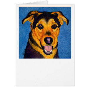 Shepherd Mix Card - "Caesar"
