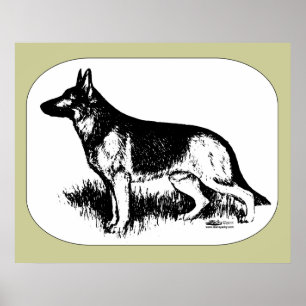 Shepherd Profile Poster