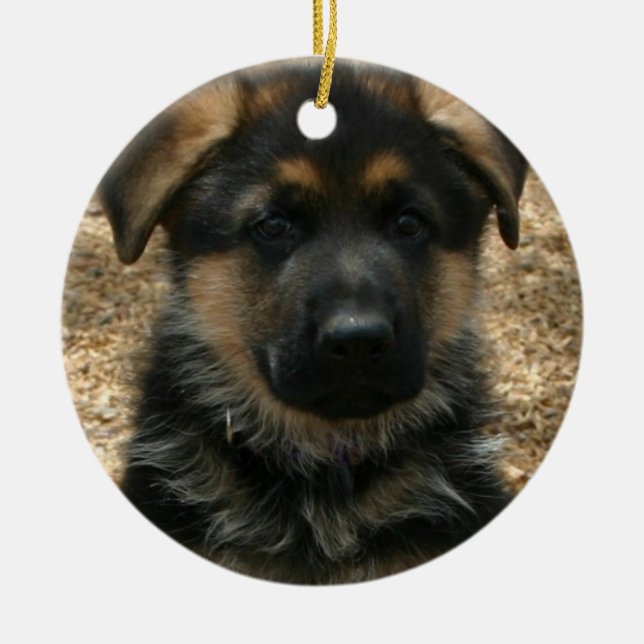 Shepherd Puppy  Ornament (Front)