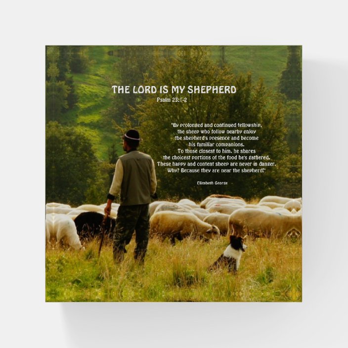 Shepherd Watching Over Sheep Flock Paperweight | Zazzle.co.uk