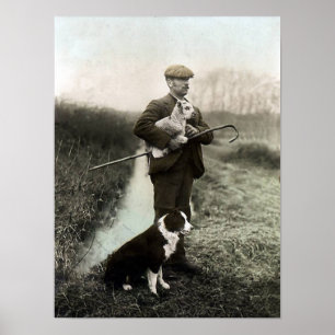 Shepherd With Lamb and Border Collie~Poster Poster