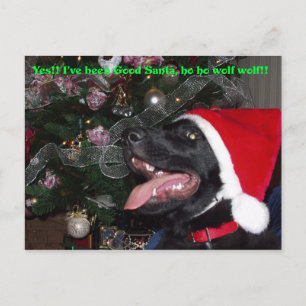 Shepherd xmas postcard