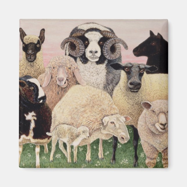 Shepherds Delight Magnet (Front)