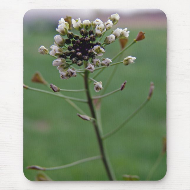 Shepherd's Purse Mouse Mat (Front)