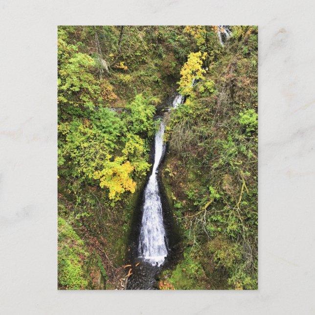 Shepperd's Dell Falls, Columbia River Gorge, OR Postcard (Front)