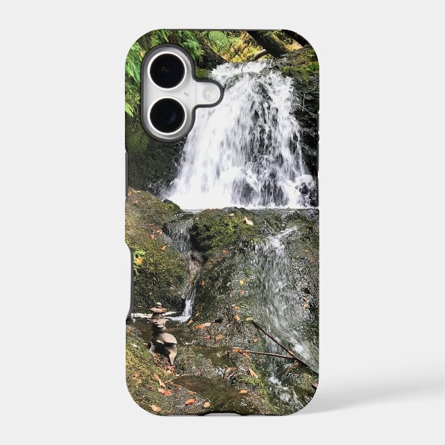 Shepperd's Dell Falls, OR (Back)
