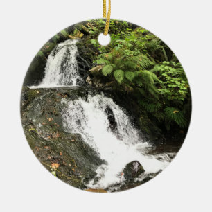 Shepperd's Dell Falls, OR Ceramic Tree Decoration