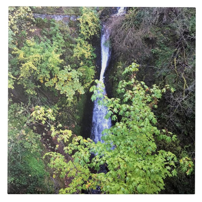 Shepperd's Dell Falls, OR Tile (Front)