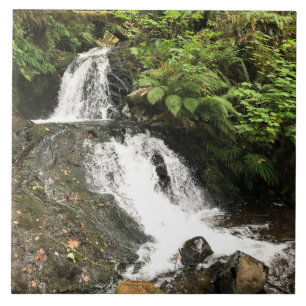 Shepperd's Dell Falls, OR Tile
