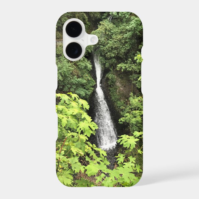 Shepperd's Dell Falls, Oregon (Back)