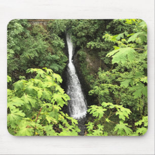 Shepperd's Dell Falls, Oregon Mouse Mat