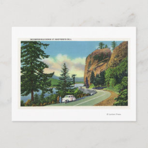 Shepperd's Dell View of Incomparable Gorge Postcard