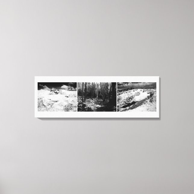 Shepton Mallet Triptych Canvas Print (Front)