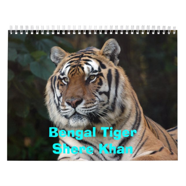 Shere-Khan Calendar, Bengal TigerShere Khan Calendar (Cover)