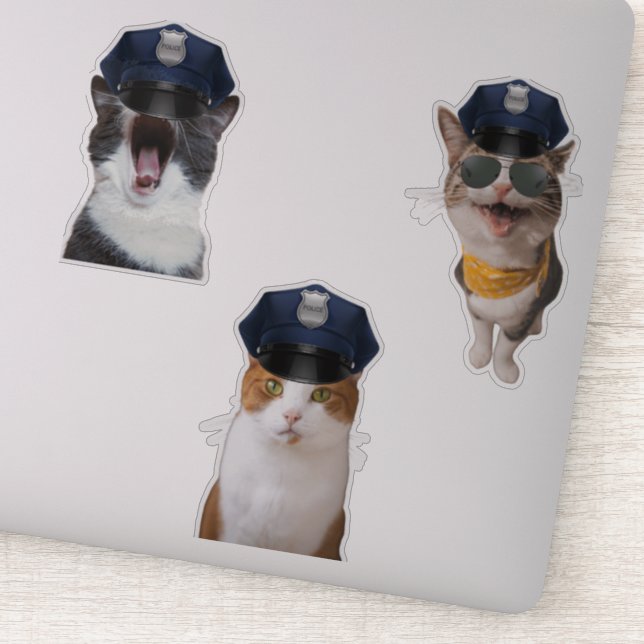 Sheriff Cat (Detail)