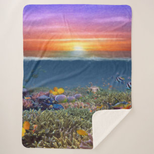 Sherpa Blanket