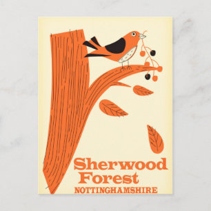 Sherwood Forest, Nottinghamshire travel poster Postcard