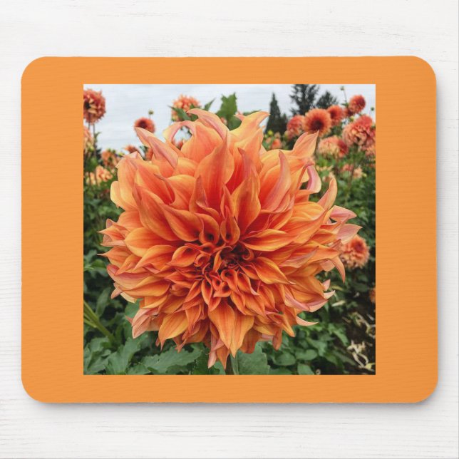 Sherwood's Peach Dahlia Mouse Mat (Front)