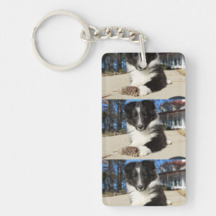 shet shp black and white puppy key ring