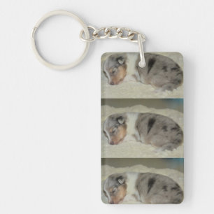 shet shp blue merle white tan puppy key ring