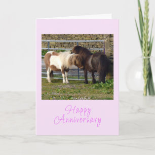 Shetland ponies Anniversary card