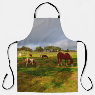 Shetland Ponies In A Field, Full Print Apron