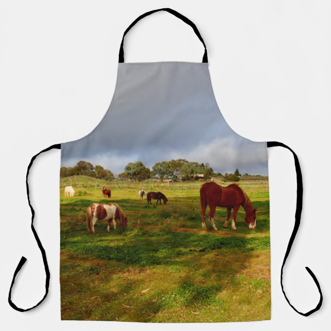 Shetland Ponies In A Field, Full Print Apron (Front)