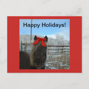Shetland Pony Christmas Card
