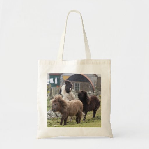 Shetland pony colts playing - Useful bag - 7.80 Shetland pony colts playing - Useful bag